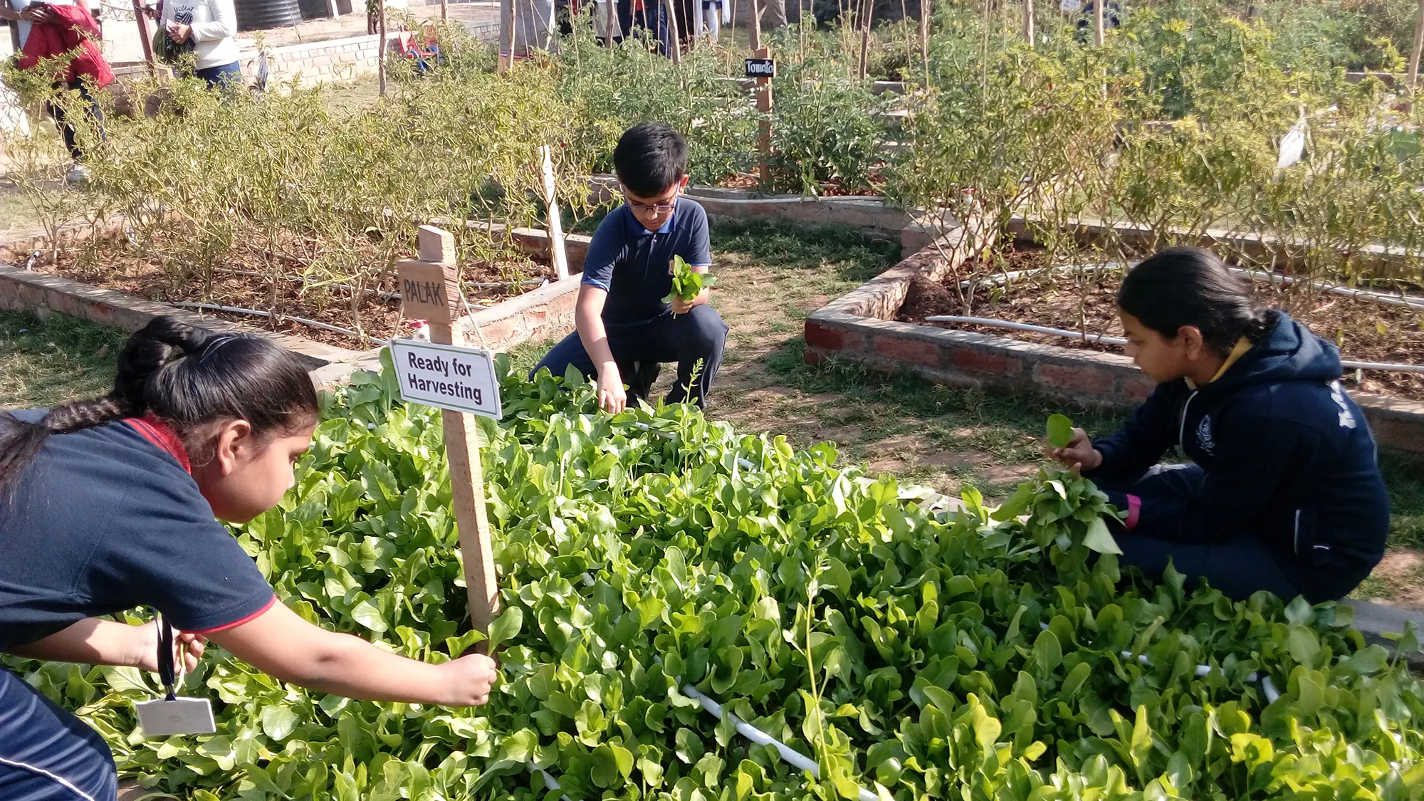Students studying or doing classwork at a table with teacher support